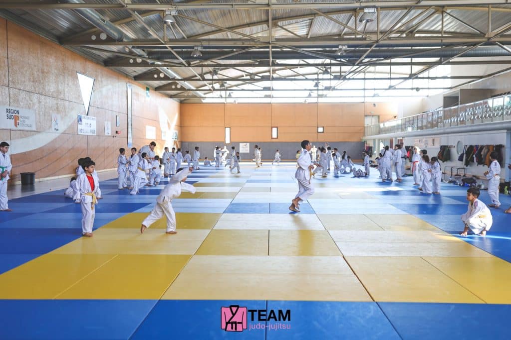Judo Marseille Stage